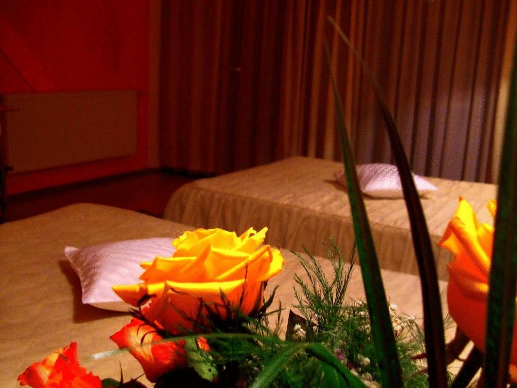 Hotel Ambassador Baia Mare Extérieur photo