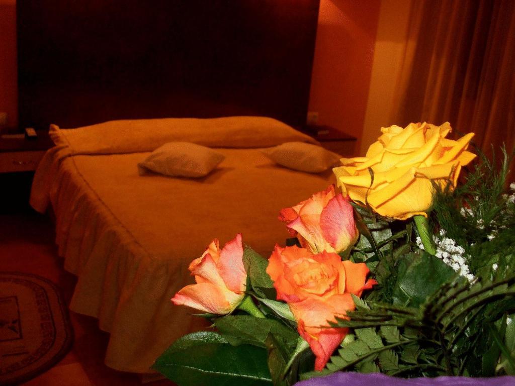 Hotel Ambassador Baia Mare Extérieur photo
