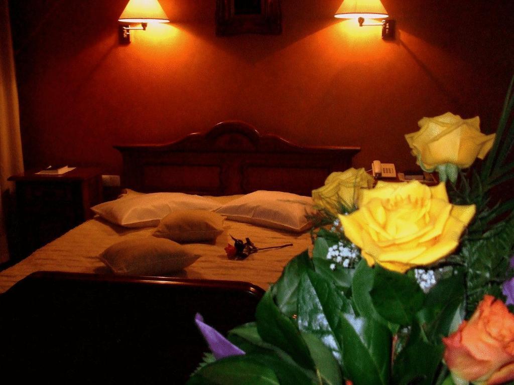 Hotel Ambassador Baia Mare Extérieur photo
