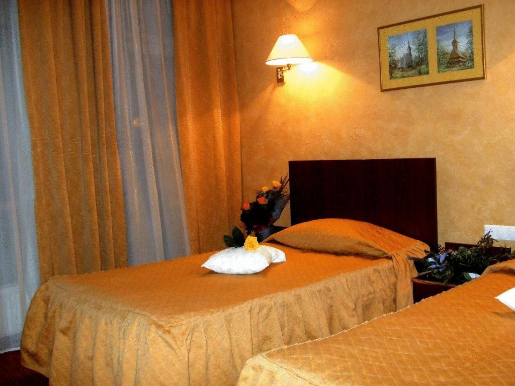 Hotel Ambassador Baia Mare Extérieur photo
