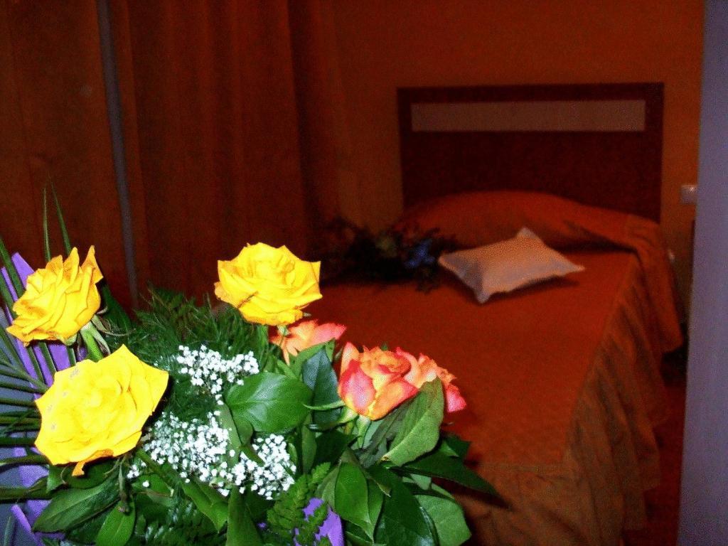 Hotel Ambassador Baia Mare Extérieur photo