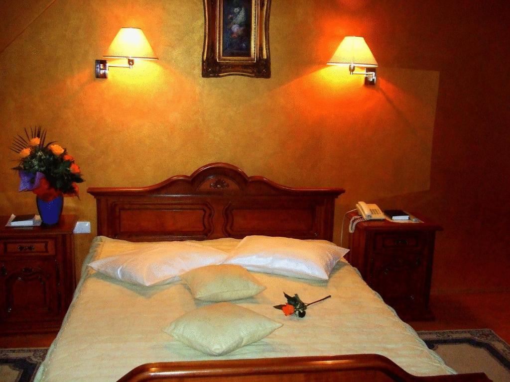 Hotel Ambassador Baia Mare Extérieur photo